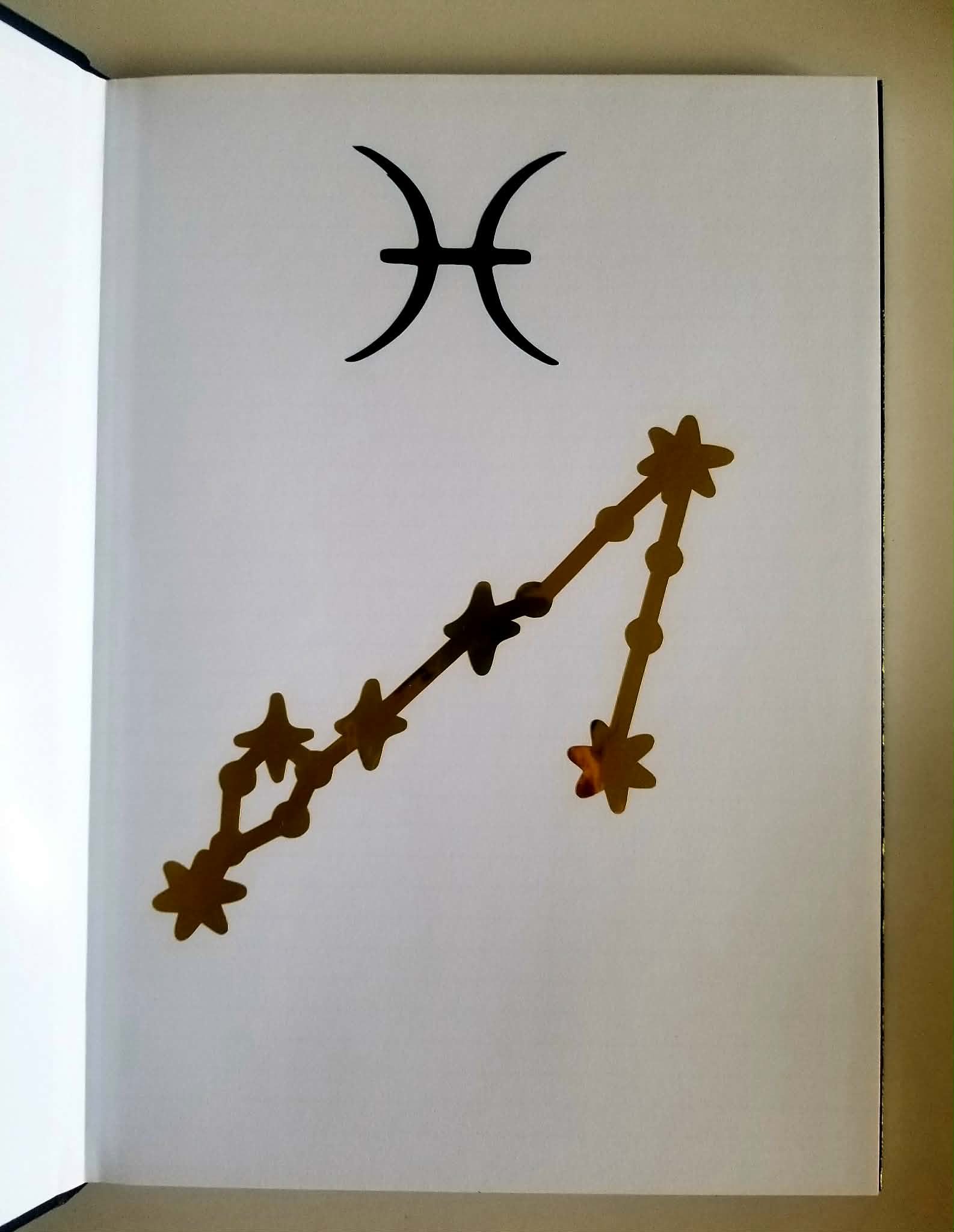 Grimoire A4 - Poissons